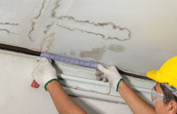 Reliable Water Damage Repair contractor in Monticello, IL by Hirex Water Damage